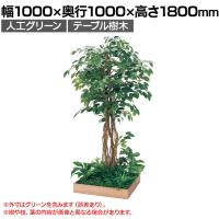 ベルク 土台プランター 600角 フィカスベンジャミン 国産 テーブル樹木 人工観葉植物 フェイクグリーン GR5131 幅1000×奥行1000×高さ1800mm オフィス 休憩室