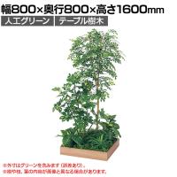 ベルク 土台プランター 600角 トネリコ&シェフレラ 国産 テーブル樹木 人工観葉植物 フェイクグリーン GR5134 幅800×奥行800×高さ1600mm オフィス 休憩室