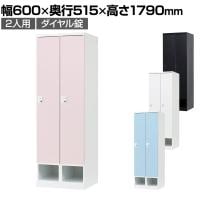下段オープン 2人用 ロッカー 更衣用ロッカー スチールロッカー 鍵付き ダイヤル錠 RELASH 幅600×奥行515×高さ1790mm【国産】【完成品】/RLK-TKD260