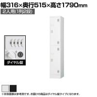 2人用 スチールロッカー 1列2段 スタンダードロッカー 鍵付き ダイヤル錠 幅316×奥行515×高さ1790mm【国産】【完成品】/TLK-D2S パーソナルロッカー 個人ロッカー 更衣室ロッカー ホワイト ブラック