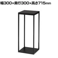 ロビースタンド 装飾スタンド 電話スタンド 日本製 スチール製 グリーンスタンド アジャスター付き NWP-073T 幅300×奥行300×高さ715mm 業務用 エントランス
