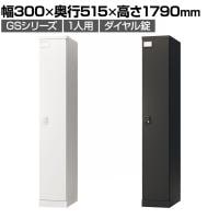 ロッカー スチールロッカー 1人用 1列1段 GSシリーズ  スリム 鍵付き ダイヤル錠 個人ロッカー 更衣ロッカー シューズロッカー オフィス ネームプレート 鏡 幅300×奥行515×高さ1790mm