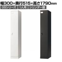 ロッカー スチールロッカー 1人用 1列1段 GSシリーズ  スリム 鍵付き シリンダー錠 個人ロッカー 更衣ロッカー シューズロッカー オフィス ネームプレート 鏡 幅300×奥行515×高さ1790mm