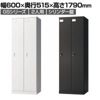 ロッカー スチールロッカー 2人用 2列1段 GSシリーズ  スリム 鍵付き シリンダー錠 個人ロッカー 更衣ロッカー シューズロッカー オフィス ネームプレート 鏡 収納 幅600×奥行515×高さ1790mm