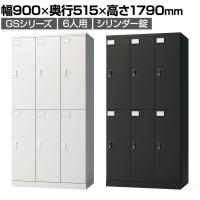 ロッカー スチールロッカー 6人用 3列2段 GSシリーズ  スリム 鍵付き シリンダー錠 個人ロッカー 更衣ロッカー シューズロッカー オフィス ネームプレート 鏡 収納 幅900×奥行515×高さ1790mm