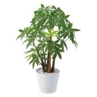 ポピー 観葉植物 パキラポット フェイクグリーン GLA-1233