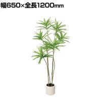 ポピー 観葉植物 人工樹木 ドラセナポット 幅650×全長1200mm フェイクグリーン 葉 造花 インテリア オフィス おしゃれ