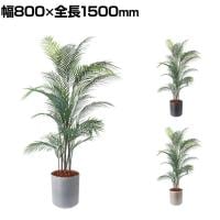 ポピー 観葉植物 人工樹木 アレカヤシ 日本製 国産 幅800×全長1500mm フェイクグリーン 葉 造花 インテリア オフィス おしゃれ