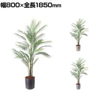 ポピー 観葉植物 人工樹木 アレカヤシL 日本製 国産 幅800×全長1850mm フェイクグリーン 葉 造花 インテリア オフィス おしゃれ