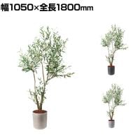 ポピー 観葉植物 人工樹木 オリーブ 日本製 国産 幅1050×全長1800mm フェイクグリーン 葉 造花 インテリア オフィス おしゃれ