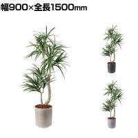 ポピー 観葉植物 人工樹木 クラスタードラセナ 日本製 国産 幅900×全長1500mm フェイクグリーン 葉 造花 インテリア オフィス おしゃれ