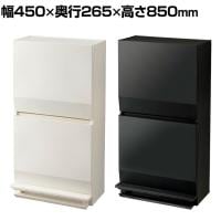 【抗菌加工】SOLOW ゴミ箱 収納 通路で使えるペダル分別ストッカー2段 衛生的 スリム設計 使い方自在 45L 幅450×奥行265×高さ850mm【SIAA】