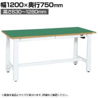 サカエ 電動昇降作業台 重量タイプ 幅1200×奥行750×高さ630～1280mm DKN-127FEW