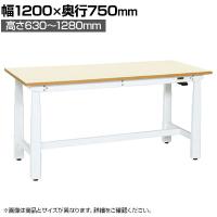 サカエ 電動昇降作業台 重量タイプ 幅1200×奥行750×高さ630～1280mm DKN-127IMW