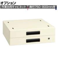 [オプション]サカエ 作業台用オプションキャビネット 幅500×奥行500×高さ164mm NKL-20IB