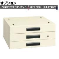 [オプション]サカエ 作業台用オプションキャビネット 幅500×奥行500×高さ246mm NKL-30IB