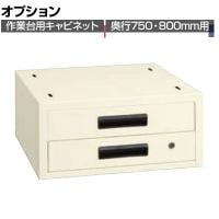 [オプション]サカエ 作業台用オプションキャビネット 幅500×奥行500×高さ224mm NKL-22IB