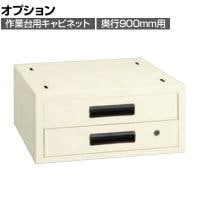 [オプション]サカエ 作業台用オプションキャビネット 幅500×奥行500×高さ224mm NKL-22IC