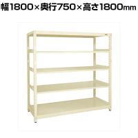 【単体】サカエ RKラック 単体 均等耐荷重:250KG/段 5段タイプ 幅1800×奥行750×高さ1800mm RKN-8785I