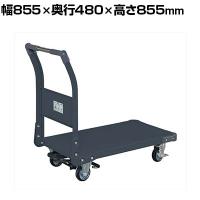 サカエ 特製四輪車 300kgタイプ フットブレーキ付き 幅855×奥行480×高さ855mm TAN-22BRD