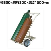 サカエ ボンベキャリー 幅850×奥行300×高さ1200mm BC-20I
