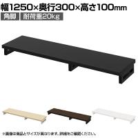 eモニター台 机上台 机上ラック 卓上モニター パソコン台 日本製 ぴったり 角脚タイプ 幅1250×奥行300×高さ100mm EMR-LCK12530 スペース活用 テレワーク 収納