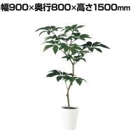 観葉植物 人工樹木 フェイクグリーン 造花 ツピダンサス FST 高さ1500mm 鉢:SA-10(WH)