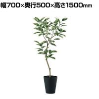 観葉植物 人工樹木 フェイクグリーン 造花 デコラトリカラー FST 高さ1500mm 鉢:SA-10(BK)