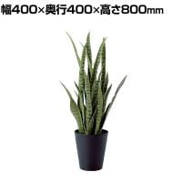 観葉植物 人工樹木 フェイクグリーン 造花 サンスベリア グリーン 高さ800mm 鉢:SA-7(BK)