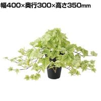 観葉植物 人工樹木 フェイクグリーン 造花 ライムアイビー 高さ350mm 鉢:SA-4(BK) 卓上