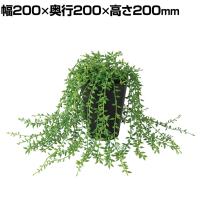 観葉植物 人工樹木 フェイクグリーン 造花 グリーンネックレス 高さ200mm 鉢:SA-4(BK) 卓上