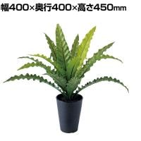 観葉植物 人工樹木 フェイクグリーン 造花 アスプレニウム Sサイズ 高さ450mm 鉢:SA-4(BK) 卓上
