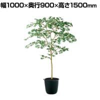 観葉植物 人工樹木 フェイクグリーン 造花 ヤマモミジ GREEN FST 高さ1500mm 鉢:ツリー7(BK)