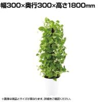 観葉植物 人工樹木 フェイクグリーン 造花 MIXヘゴ ライム/ライム 高さ1800mm 鉢:SA-10(WH)