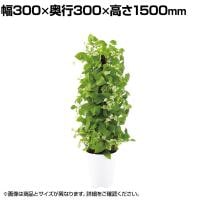 観葉植物 人工樹木 フェイクグリーン 造花 MIXヘゴ ライム/ライム 高さ1500mm 鉢:SA-10(WH)