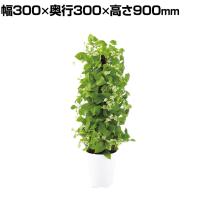 観葉植物 人工樹木 フェイクグリーン 造花 MIXヘゴ ライム/ライム 高さ900mm 鉢:SA-7(WH)