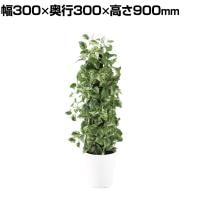 観葉植物 人工樹木 フェイクグリーン 造花 マーブルポトスヘゴ 高さ900mm 鉢:SA-7(WH)