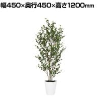 観葉植物 人工樹木 フェイクグリーン 造花 ベンジャミンバロック FST 高さ1200mm 鉢:SA-7(WH)
