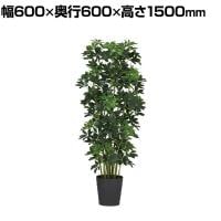 観葉植物 人工樹木 フェイクグリーン 造花 グリーンカポック ブラックポット付き 高さ1500mm