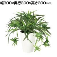 観葉植物 人工樹木 フェイクグリーン 造花 オリヅルラン G 高さ300mm 鉢:SA-4(WH) 卓上