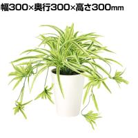 観葉植物 人工樹木 フェイクグリーン 造花 オリヅルラン G/Y 高さ300mm 鉢:SA-4(WH) 卓上