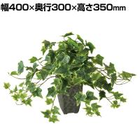 観葉植物 人工樹木 フェイクグリーン 造花 グレイシアアイビー 高さ350mm 鉢:Pスクエア(BK) 卓上