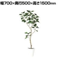 観葉植物 人工樹木 フェイクグリーン 造花 インドボダイジュ FST 高さ1500mm 鉢:SA-8(WH)