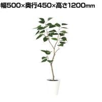 観葉植物 人工樹木 フェイクグリーン 造花 インドボダイジュ FST 高さ1200mm 鉢:SA-7(WH)