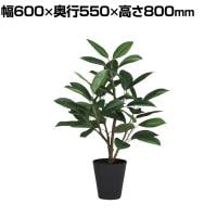 観葉植物 人工樹木 フェイクグリーン 造花 デコラゴム FST 高さ800mm 鉢:SA-6(BK)