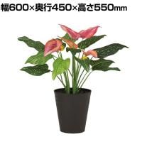 観葉植物 人工樹木 フェイクグリーン 造花 カラー 高さ550mm 鉢:SA-6(BK) 卓上