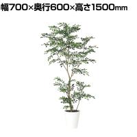 観葉植物 人工樹木 フェイクグリーン 造花 トネリコ FST 高さ1500mm 鉢:SA-8(WH)
