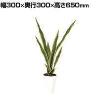 観葉植物 人工樹木 フェイクグリーン 造花 サンスベリア 高さ650mm 鉢:SA-4(WH) 卓上