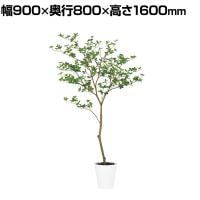 観葉植物 人工樹木 フェイクグリーン 造花 ドウダンツツジ FST 高さ1600mm 鉢:SA-8(WH)