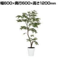 観葉植物 人工樹木 フェイクグリーン 造花 エバーフレッシュ FST 高さ1200mm 鉢:SA-7(WH)